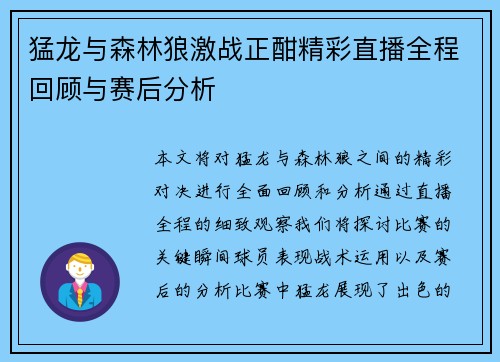 猛龙与森林狼激战正酣精彩直播全程回顾与赛后分析