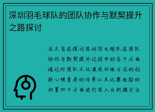 深圳羽毛球队的团队协作与默契提升之路探讨
